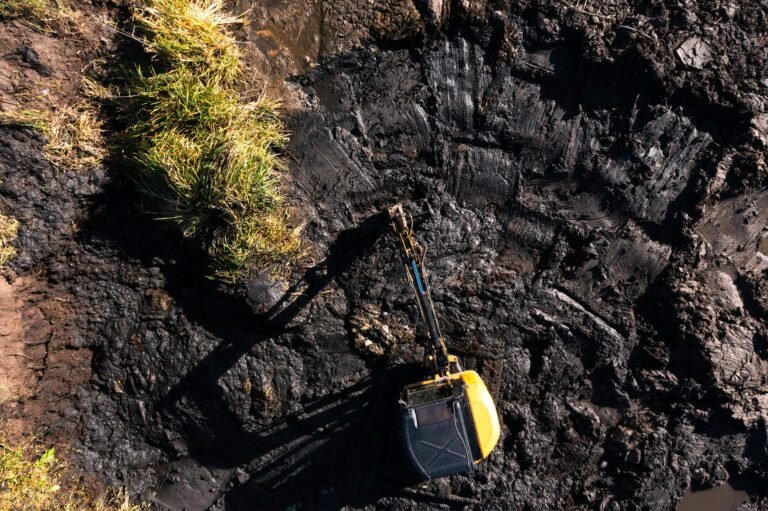 Crawler excavator cleans the pond of silt and algae. Earthworks service